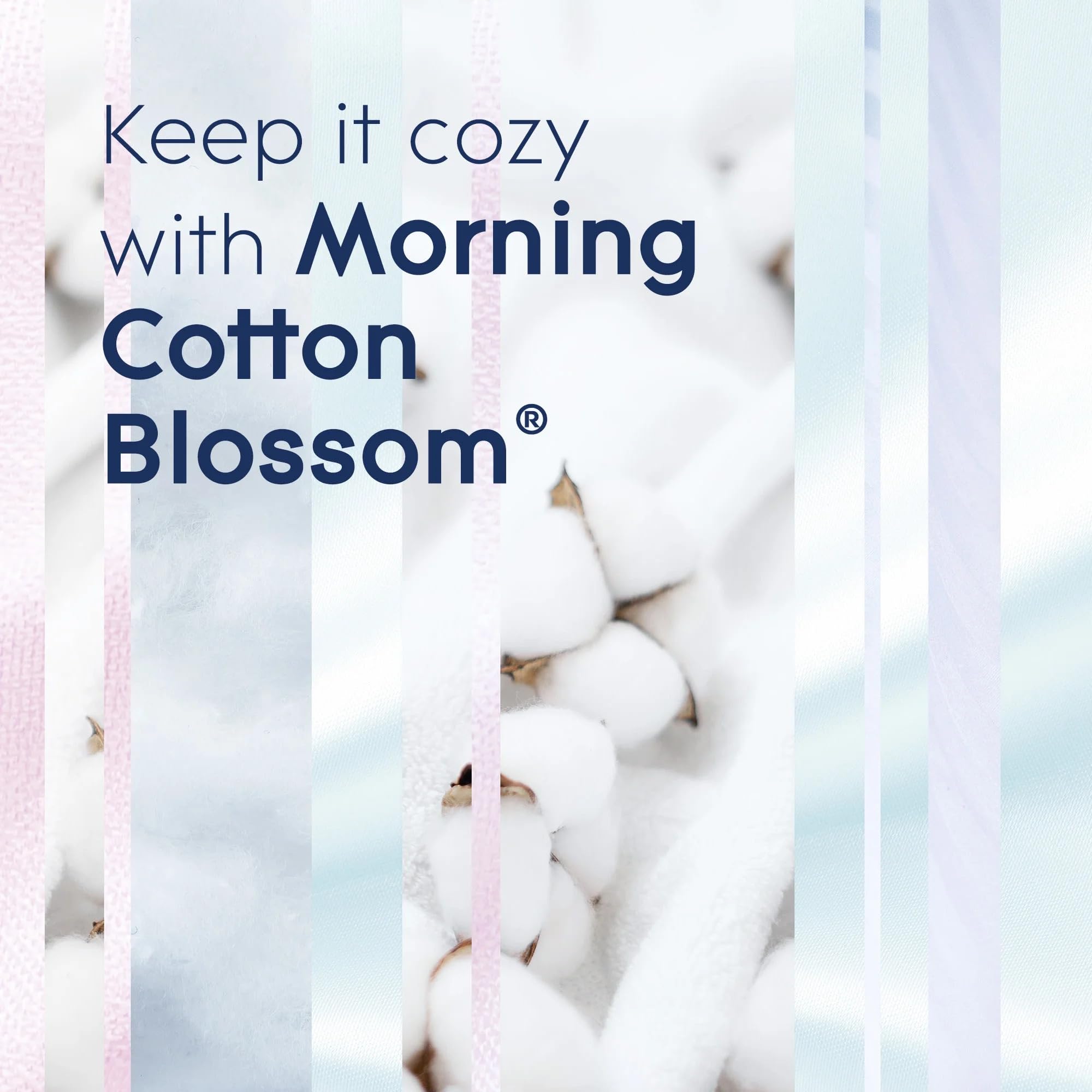 Glade PlugIns Scented Oil Refills, Morning Cotton Blossom, 5 Count, 0.67 fl oz Each, Long-Lasting Fragrance