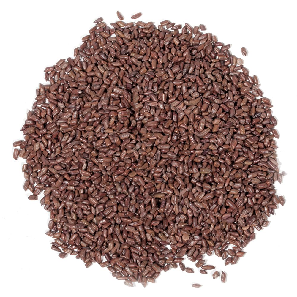 EidolonGreen [China Medicinal Herb] Natural Organic Roasted Cassia Seed Tea - Bulk Jue Ming Zi (???) - No Sugar, No Additives, 3 Oz / 88g