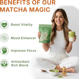 MEGAPLANTS Mushroom Matcha Magic (30 Servings) | Ceremonial Grade Japanese Matcha with Adaptogenic Mushrooms | Clean Energy & Calm Focus - Coffee