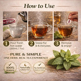 Tisan Melissa Tea (Lemon Balm) - 40 Individually Wrapped Tea Bags | Naturally Caffeine Free Herbal Infusion | Light Citrusy Notes and Gentle Aroma |