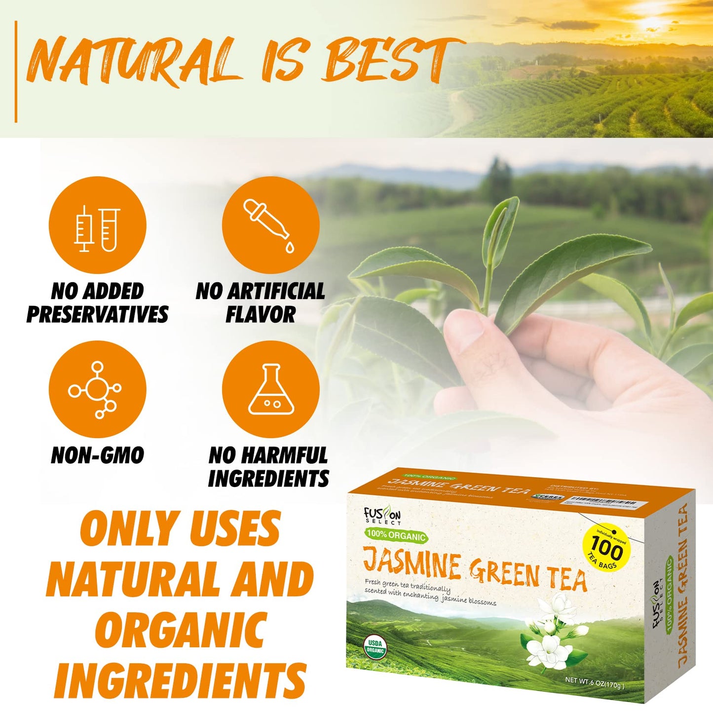 Fusion Organic Jasmine Green Tea - 100 Bags, Traditionally Scented, Refreshing Floral Fragrance - 6oz (170g)