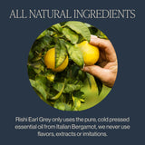 Rishi Tea Earl Grey Tea - Organic Sachet Tea Bags, Pure Black Tea with Bergamot Oil, Energizing & Caffeinated - 15 Count (Pack of 1)