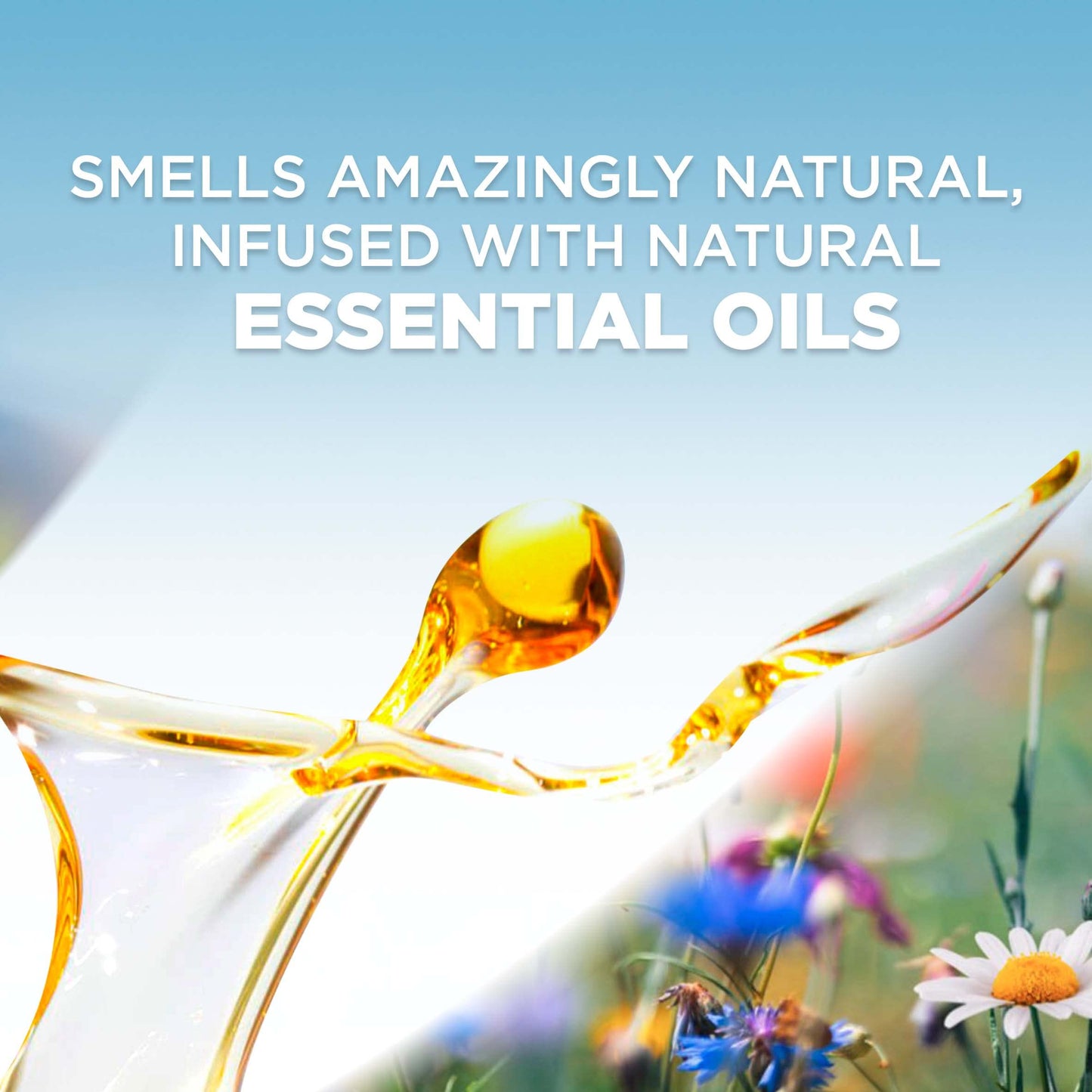 Air Wick Plug in Scented Oil Refill, 5 Ct, Fresh Peach and Sweet Nectar, Air Freshener, Essential Oils, Spring Collection