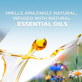 Air Wick Plug in Scented Oil Refill, 7 ct, Peach & Sweet Nectar, Air Freshener, Essential Oils