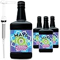 Maya Heritage Chai, Original Tea Concentrate, 64 Fl Oz, Pack of 4 with 1 Pump