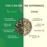 Teabox Green Tea Sampler Bags | 100% Natural I Immunity Boosting Sampler Pack | USDA Certified Organic Green Tea (20 Count (Pack of 1))