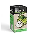 Premium Caffeinated Ceylon Soursop Graviola Green Tea Bags: 25 Count Individually Wrapped Teabags All-Natural Exotic Fruit Essence & Aroma Hot or Iced