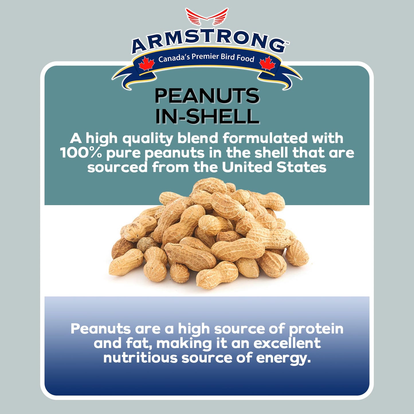 Armstrong Bird Food Peanuts-in-Shell, 3 Pounds - for Blue Jays, Eastern Grey Squirrels and Eastern Chipmunks for Outside Feeders
