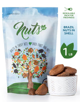 NUTS U.S. - Brazil Nuts In Shell | No Added Colors and No Artificial Flavors | Non-GMO and Natural | Fresh Buttery Taste and Raw | Pasteurized