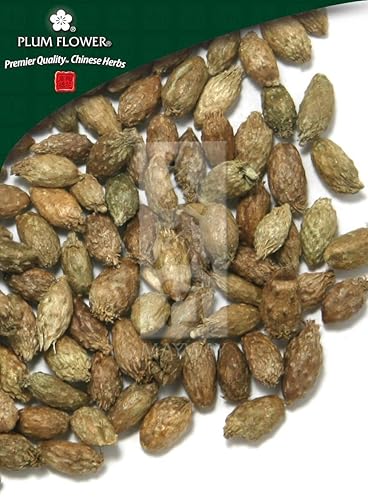 Cang Er Zi, unsulfured Xanthium sibiricum fruit Plum Flower500 g/bag