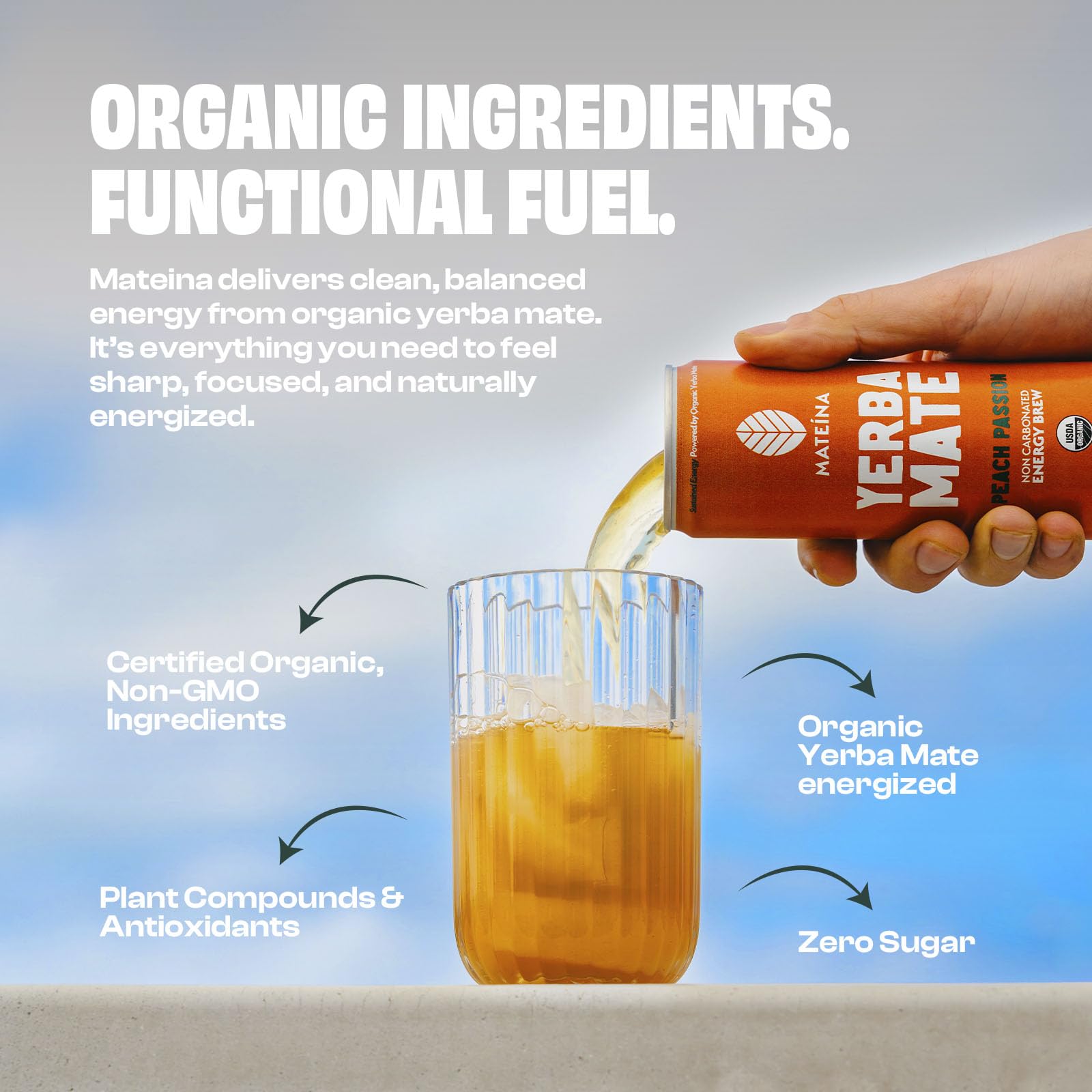 Mateina Yerba Mate Zero Sugar Energy Drink - 120mg Natural Caffeine - Organic, Non-GMO, Non-Carbonated - Dr. Andrew Huberman Recommended - (12 fl oz