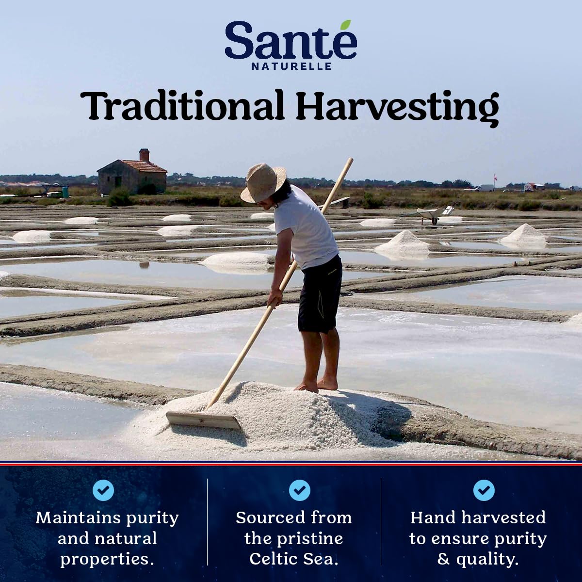 Sante Naturelle Celtic Salt Organic Fine Ground - 1.1lb (18oz) Pack of 3, Unrefined Organic French Sea Salt, Rich in 82+ Minerals Salt, 100% Natural