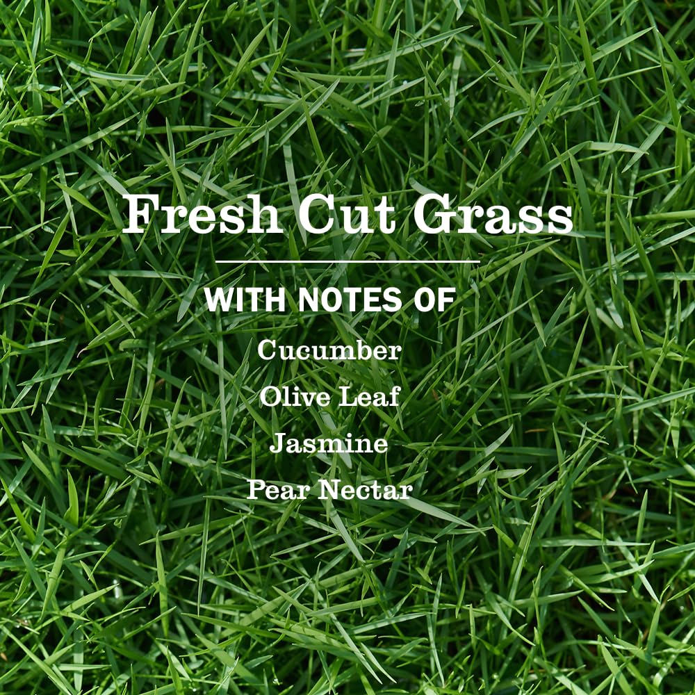 MRS. MEYER'S CLEAN DAY Premium Scented Oil Refills, Fresh Cut Grass, Contains 2 .67 fl oz Refills