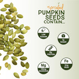 Harvested For You Sea Salted Sprouted Pumpkin Seeds, 22oz Bag, Non GMO, Paleo, Gluten Free, Vegan, Organic, Plant Based, Keto