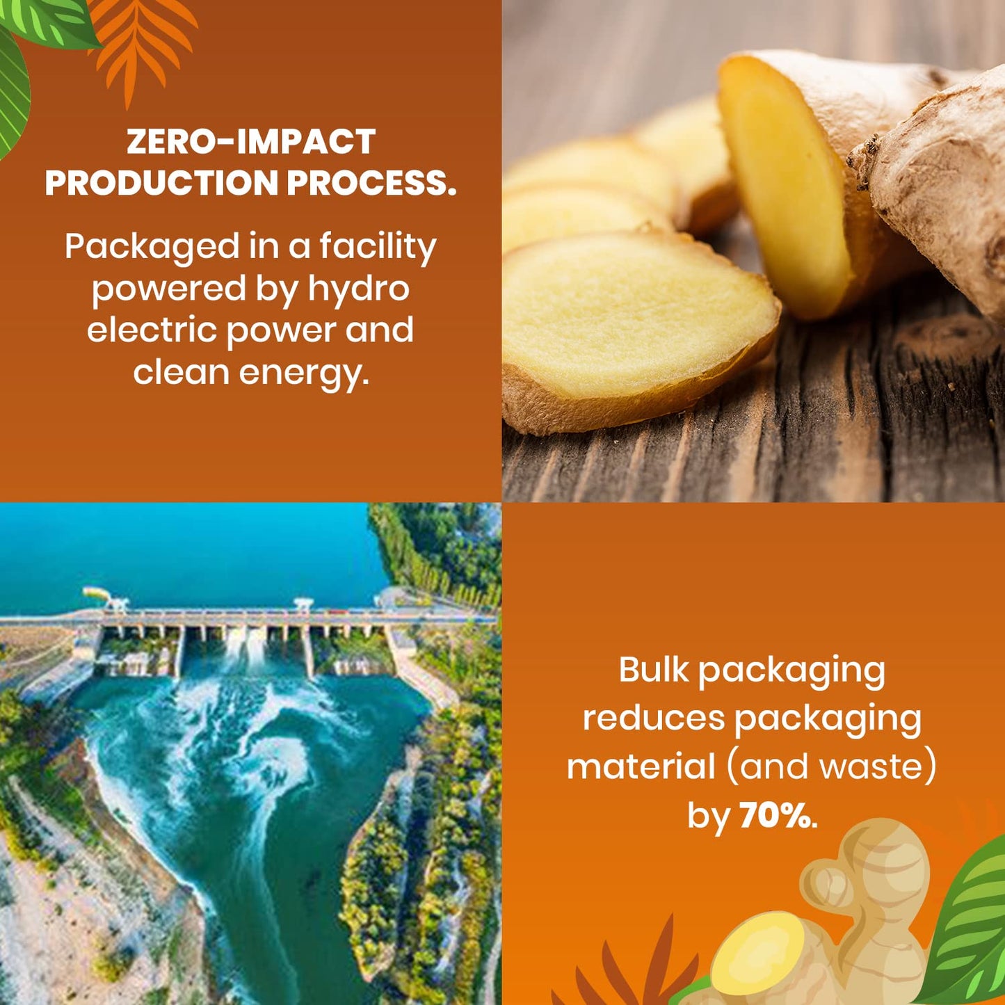 Cederberg Tea Company Organic Ginger Tea - 100 Tea Bags | Organic Herbal Tea From Single Origin | Eco-Friendly | Non-GMO Caffeine Free