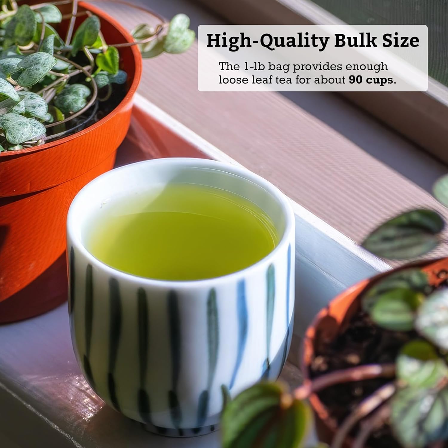 SUGIMOTO TEA Japanese Sencha Fukamushi Green Tea Loose Leaf Bulk 1.0 lb (454 g)
