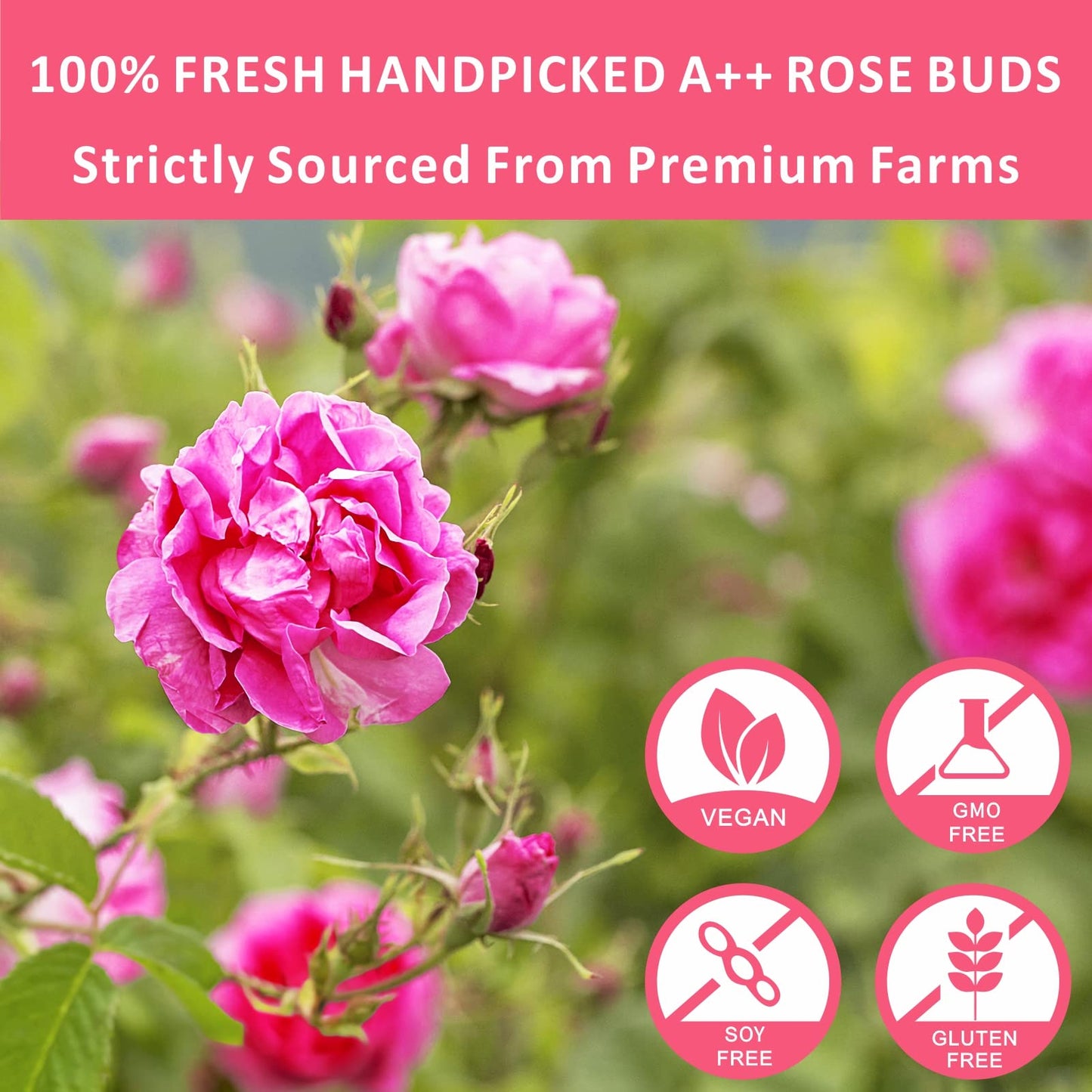 Dried Rose Buds Tea, Edible Roses Whole Flowers Loose Leaf, Premium Rose Tea Beverages, Natural Fragrant, Ideal for Gift, 2.8 oz