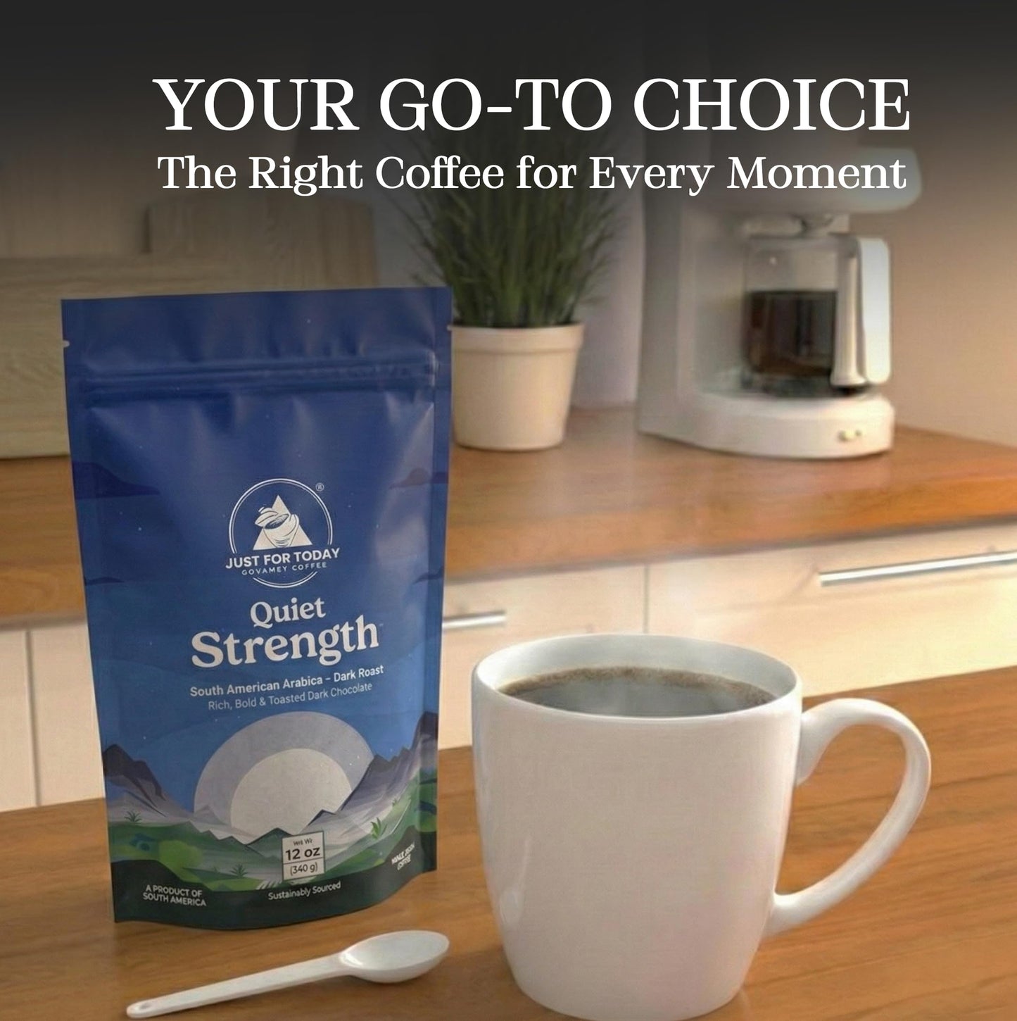 Just for today Gourmet coffee - South American Blend, Dark Roast, 100% arabica 12oz
