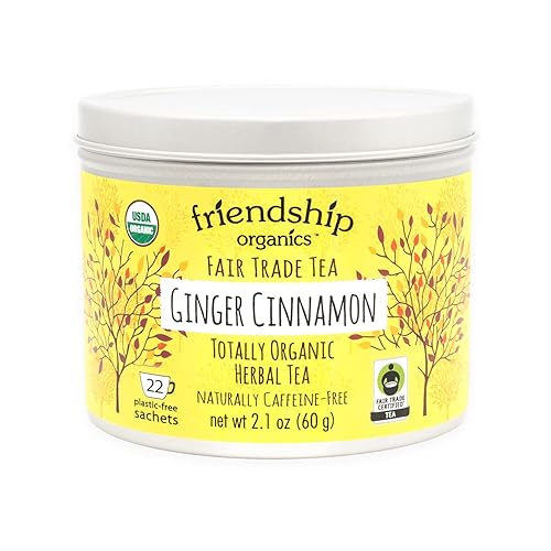 Friendship Organics Ginger Cinnamon Tea Bags, Organic Herbal and Fair Trade 22 Count