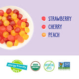 YumEarth Organic Assorted Flavor Fruit Snacks - Allergy Friendly (Top 9 Free), No Artificial Dyes, Non GMO, Gluten Free, Vegan Candy Snacks - 0.7