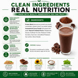 Nutmeg State Nutrition - High Protein Shake Mix, 15g Protein, 100 Calories, 4g Sugar, Low Fat, Keto Friendly, 7 Packets Per Box (1 Box, Chocolate)