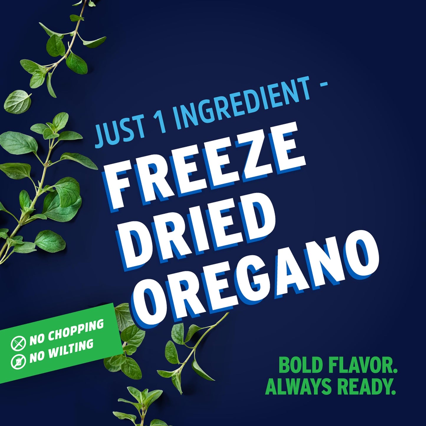 Litehouse Freeze Dried Oregano - Substitute for Fresh Oregano, Gluten Free, Vegetarian, Keto, Non-GMO, No Refrigeration Required, Seasonings