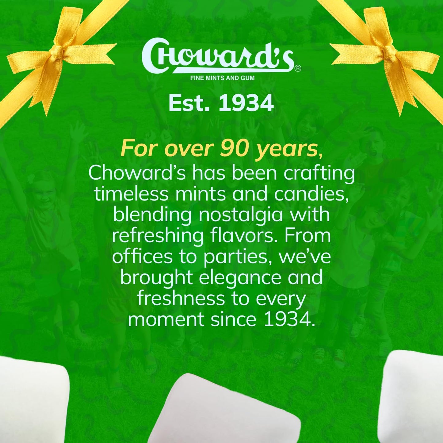 Choward's Spearmint Sugar-Free Gum | Unique Aromatic Flavors for Everyday Freshness | Long-Lasting Flavor | Soft Chew | Portable Bottle for On the Go