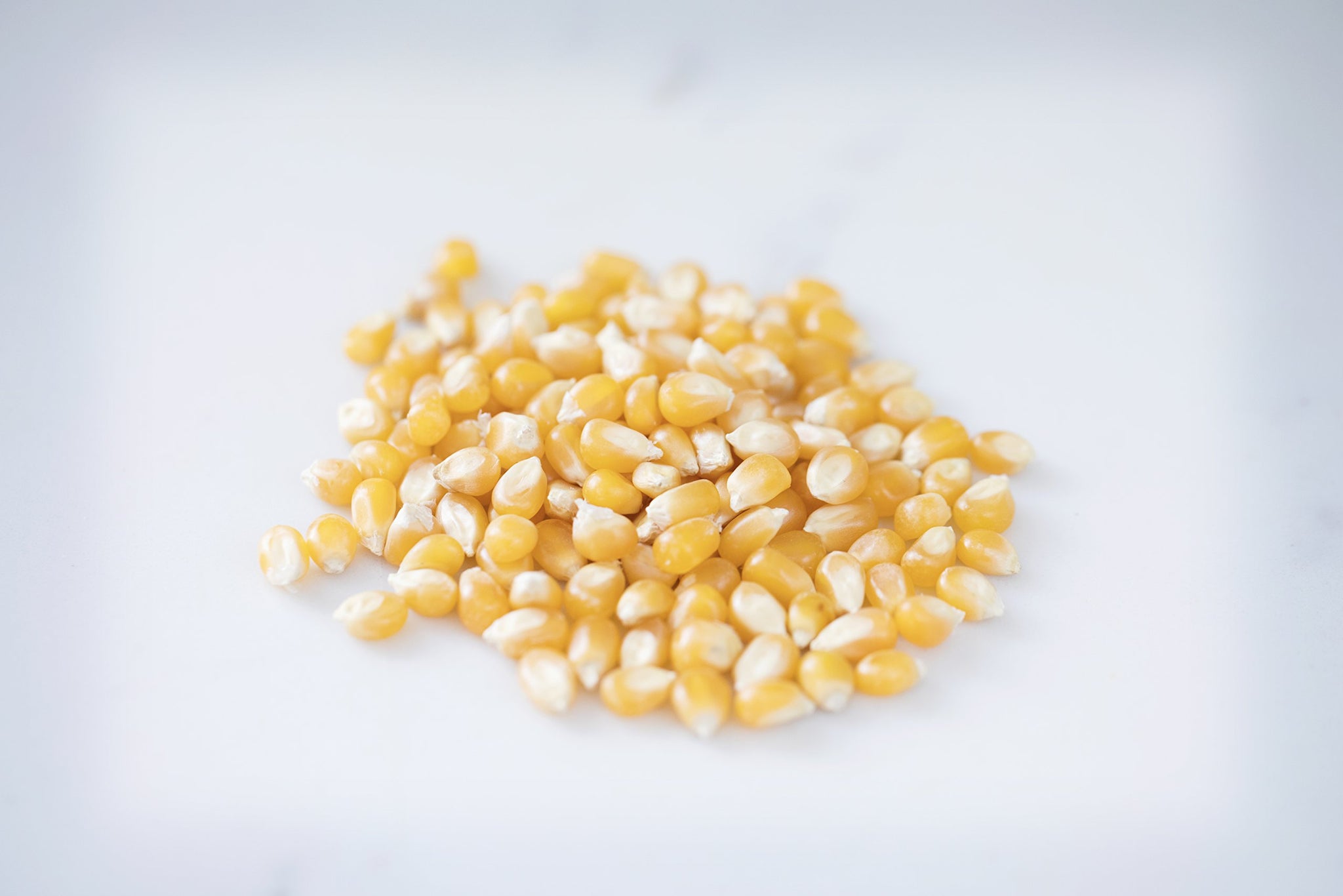 Amish Country Popcorn | 25 lb Bag | Medium Yellow Popcorn Kernels | Old Fashioned, Non-GMO and Gluten Free (Medium Yellow - 25 lb Bag)