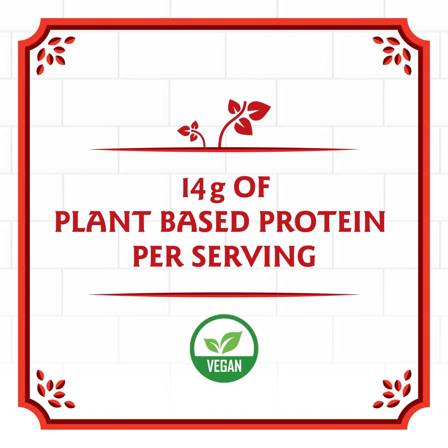 Birch Benders Plant Protein Pancake & Waffle Mix, Vegan, 14 g Plant-Based Protein, Whole Grains, Just Add Water, 14 oz (Pack of 3)