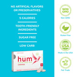 Stevita Hum, Cinnamon - Sugar-Free Gum - 12 Pieces, Pack of 12 - Supports Oral Health -, Non-GMO, Vegetarian, Keto, Gluten Free - 72 Total Servings