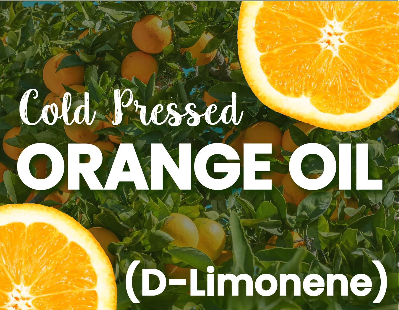 Bluewater Chemgroup Premium Cold Pressed Orange Oil Concentrate- 16 oz (with D-Limonene), Concentrated Cold Pressed Orange Oil Cleaner - All-Purpose