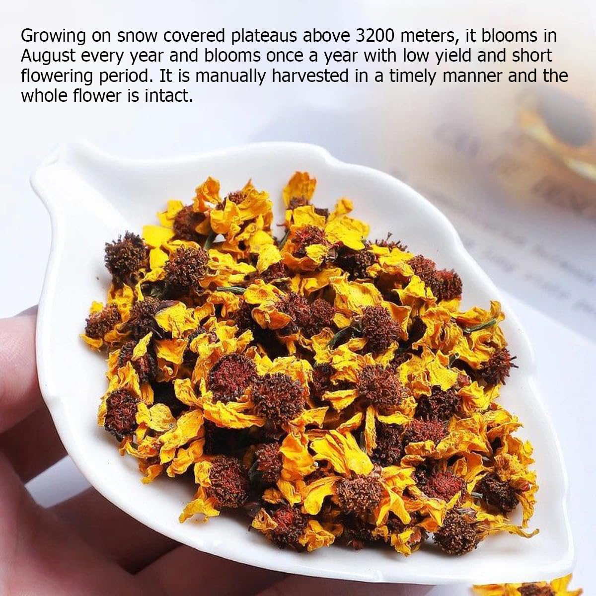 Kunlun Snow Chrysanthemum Tea 3.52oz /100g Alpine snow chrysanthemum flower tea-Rich floral fragrance