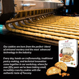 Italian Limoncello Biscotti | Made in Tuscany, Italy | Belli Traditional Semi Soft Biscuits