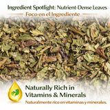 Diente de León Herbal Tea - Dandelion Loose Leaf - 4 oz (113 g) - 100% Natural, Vegan, Non-GMO, Caffeine-Free - Traditional Herbal Infusion - by