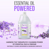 Crystalino Lavender Essential Oil Cleaning Vinegar for Home (1 Gallon) 6% Non-Toxic Distilled White, Vinegar for Cleaning Purpose, Vinagre Blanco
