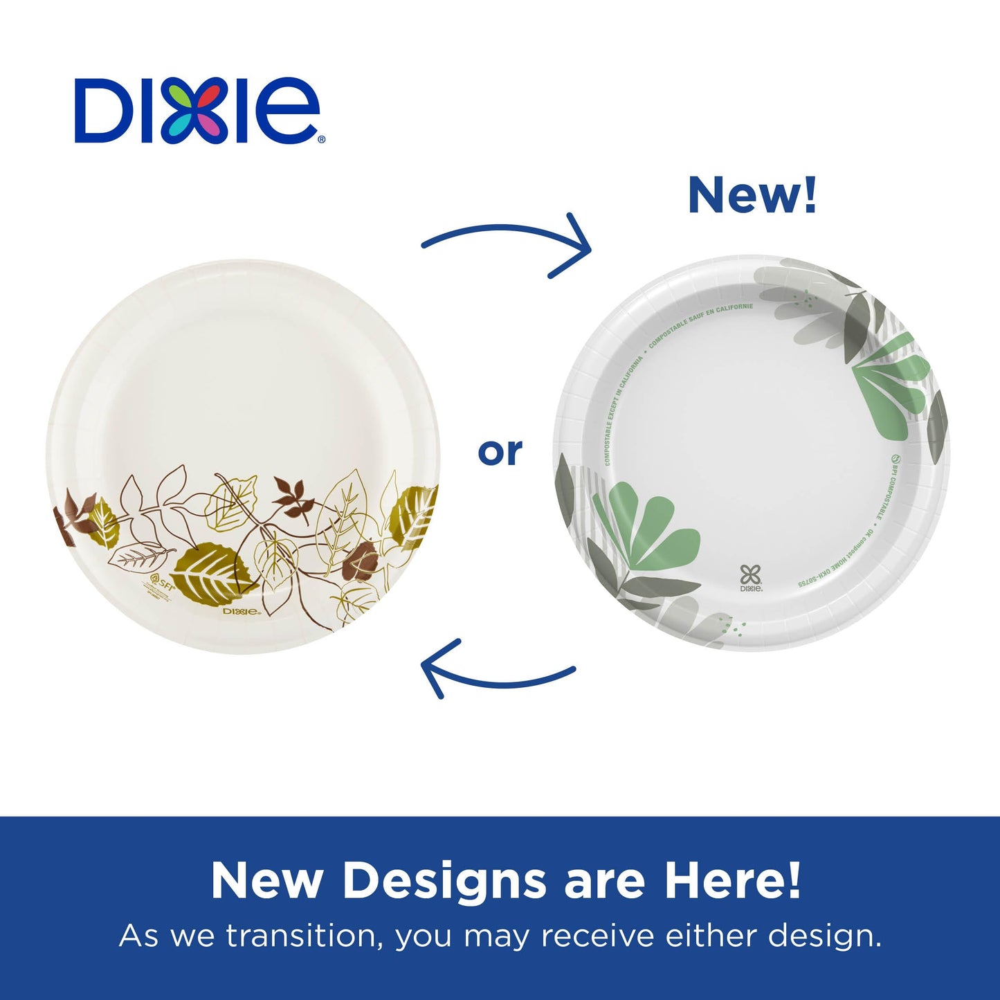 Dixie 8.5 Inch Medium-Weight Paper Plates By GP PRO, Pathways Botanical Design, 1000 Count (125 Disposable Plates Per Pack, 8 Packs Per Case), UX9PATH