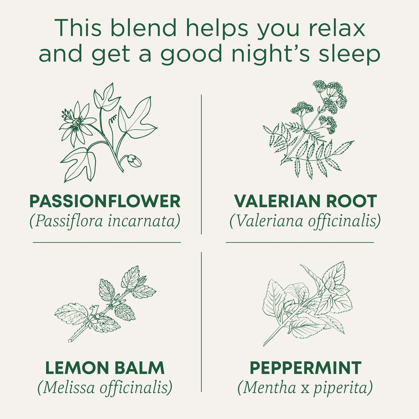 Traditional Medicinals Organic Nighty Night Extra Tea With Valerian Root for Relaxation, 48 Tea Bags