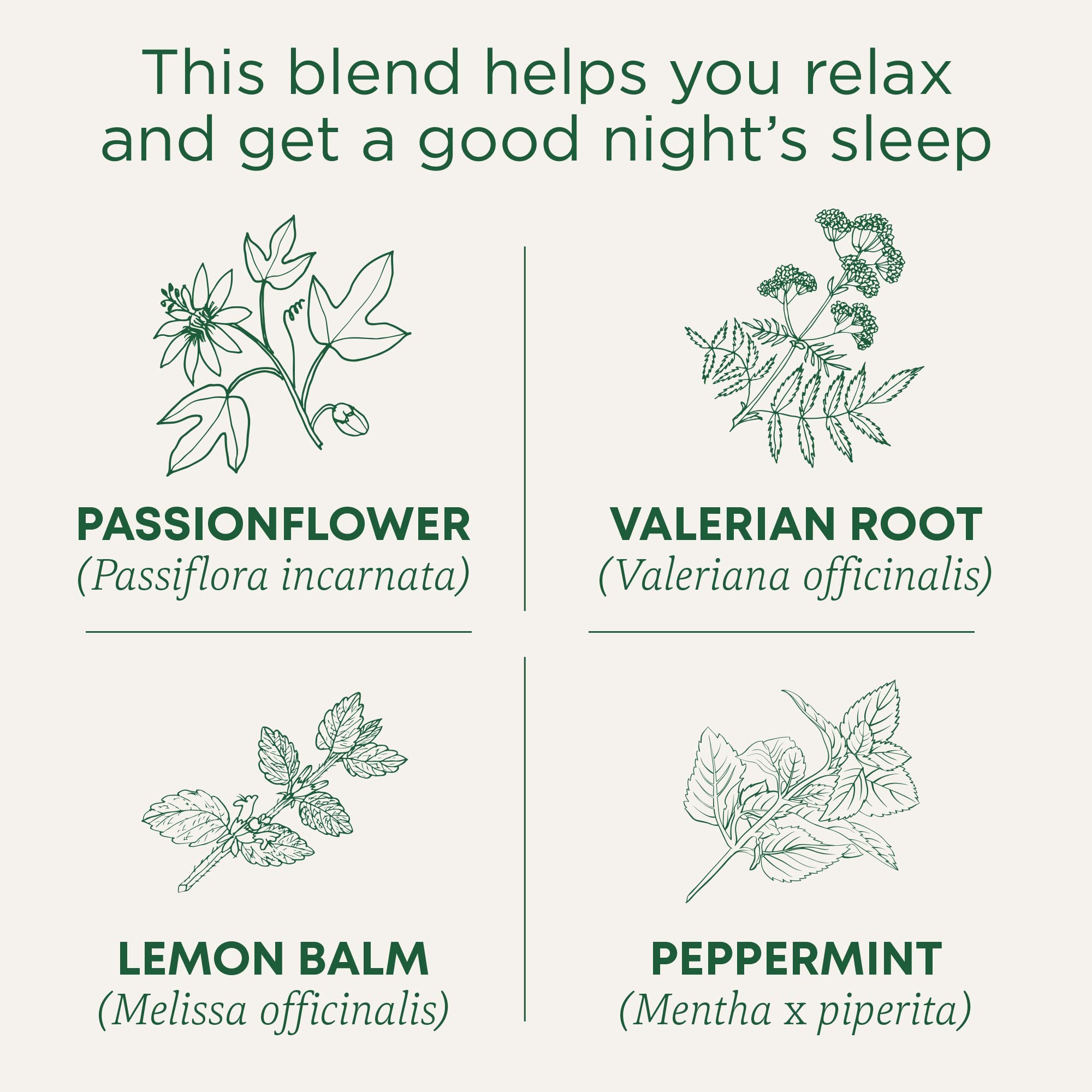 Traditional Medicinals Organic Nighty Night Extra Tea With Valerian Root for Relaxation, 48 Tea Bags