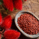 GranAroma Anchiote Seeds, Annatto Seeds, Grilling Spice (4.8 Ounce)