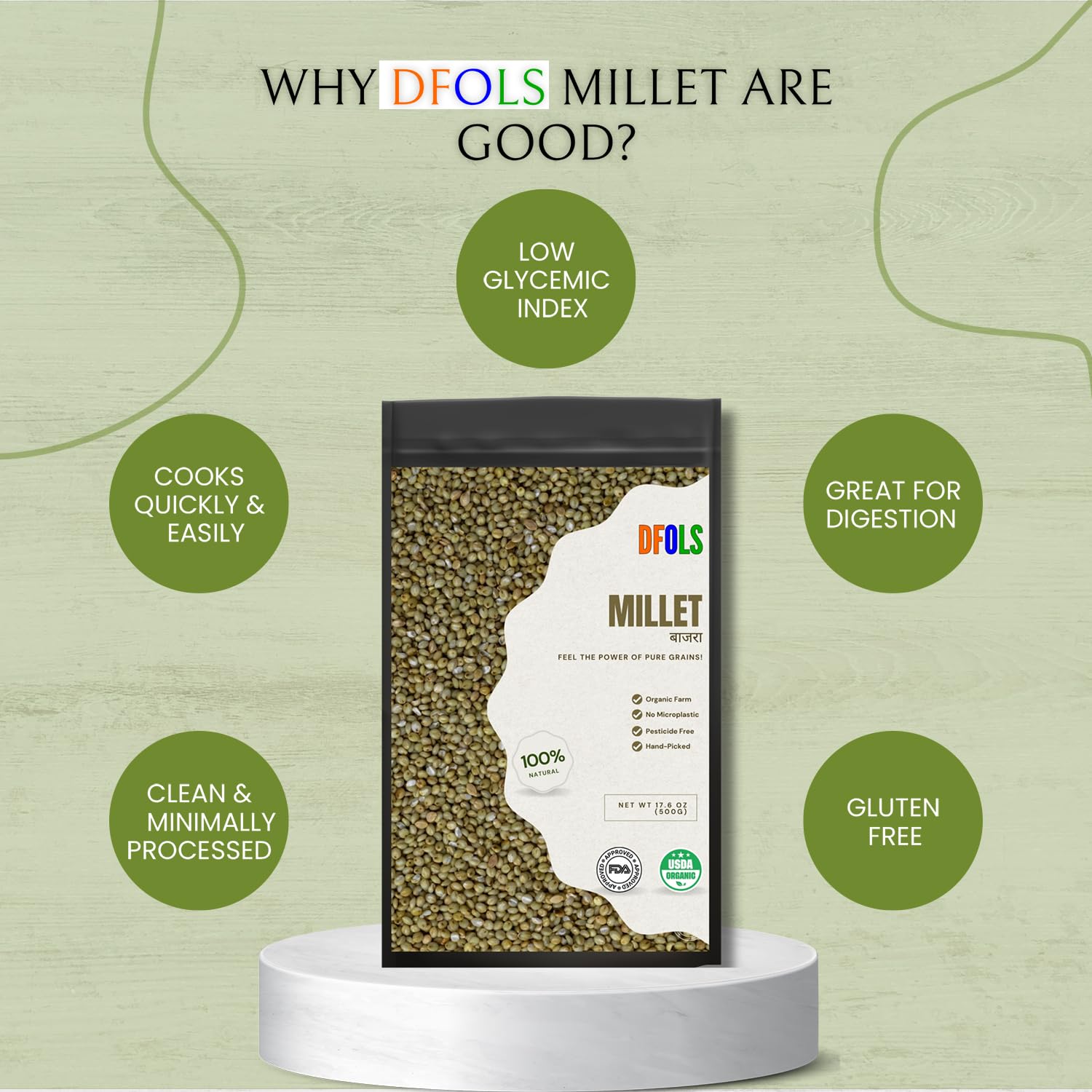 DFOLS Millet Whole Grain Mild Earthy Flavor for Healthy Cooking 0.55lb 8.82oz (250g) Premium Quality ????
