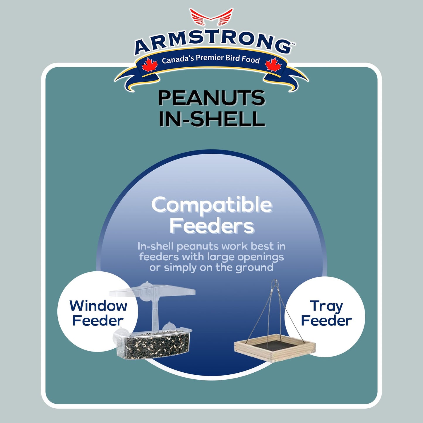 Armstrong Bird Food Peanuts-in-Shell, 3 Pounds - for Blue Jays, Eastern Grey Squirrels and Eastern Chipmunks for Outside Feeders