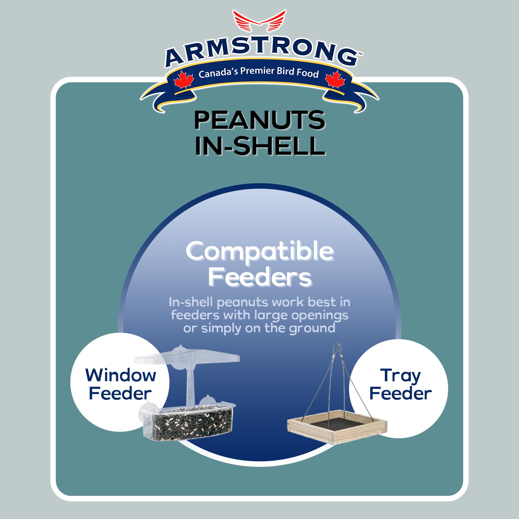 Armstrong Bird Food Peanuts-in-Shell, 3 Pounds - for Blue Jays, Eastern Grey Squirrels and Eastern Chipmunks for Outside Feeders