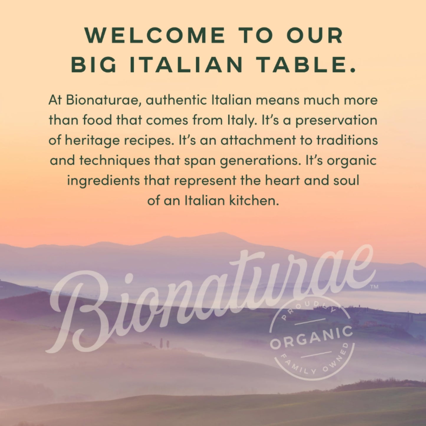 Bionaturae Sourdough Organic Spaghetti Pasta - Spaghetti Noodles Thin, Pasta Noodles, Thin Spaghetti, Pasta Spaghetti, Durum Wheat Pasta - 12 Ounce