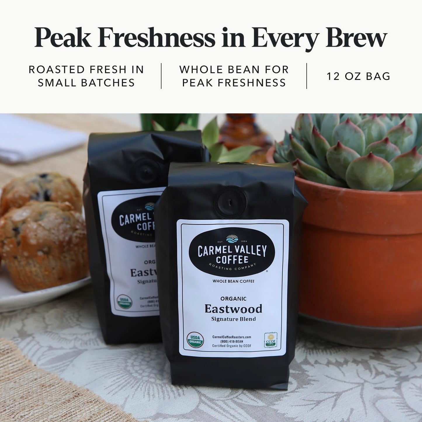 Carmel Valley Coffee Roasting Eastwood Organic Medium Roast Coffee - Whole Bean and Fresh Roasted - Dark Chocolate, Ripe Berry and Toasted Almond
