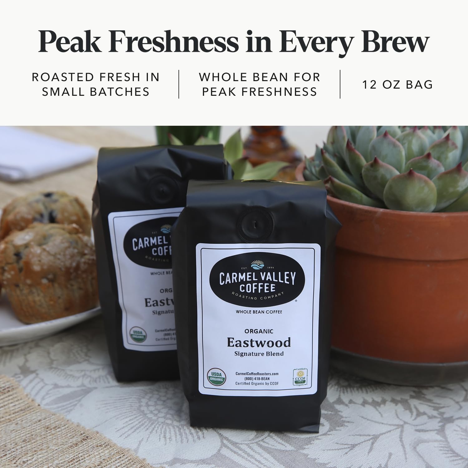 Carmel Valley Coffee Roasting Eastwood Organic Medium Roast Coffee - Whole Bean and Fresh Roasted - Dark Chocolate, Ripe Berry and Toasted Almond
