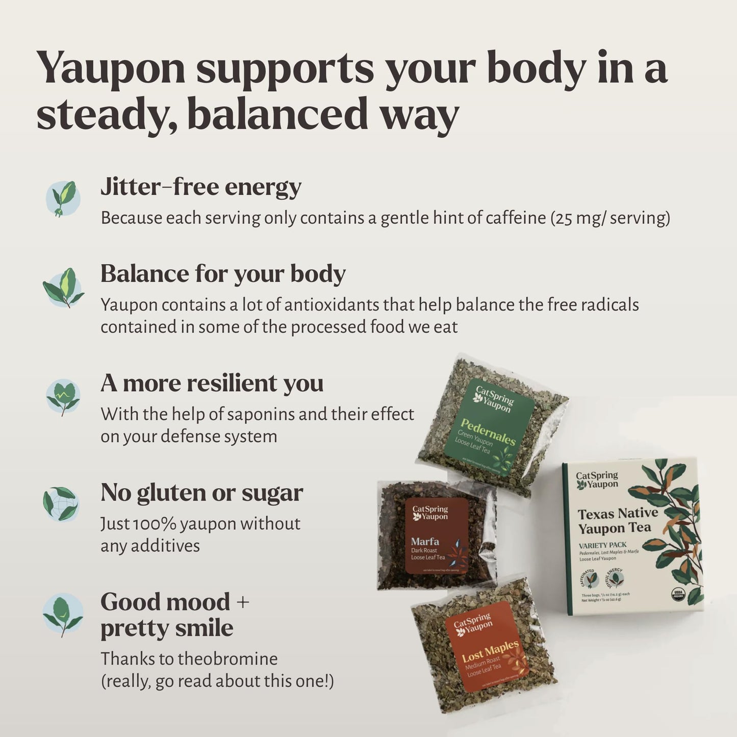 CatSpring Yaupon Tea Variety Pack, 1.5 oz Loose Leaf of Each, Green, Dark, and Medium Roast, Naturally Caffeinated, Sustainable and Wild-Harvested
