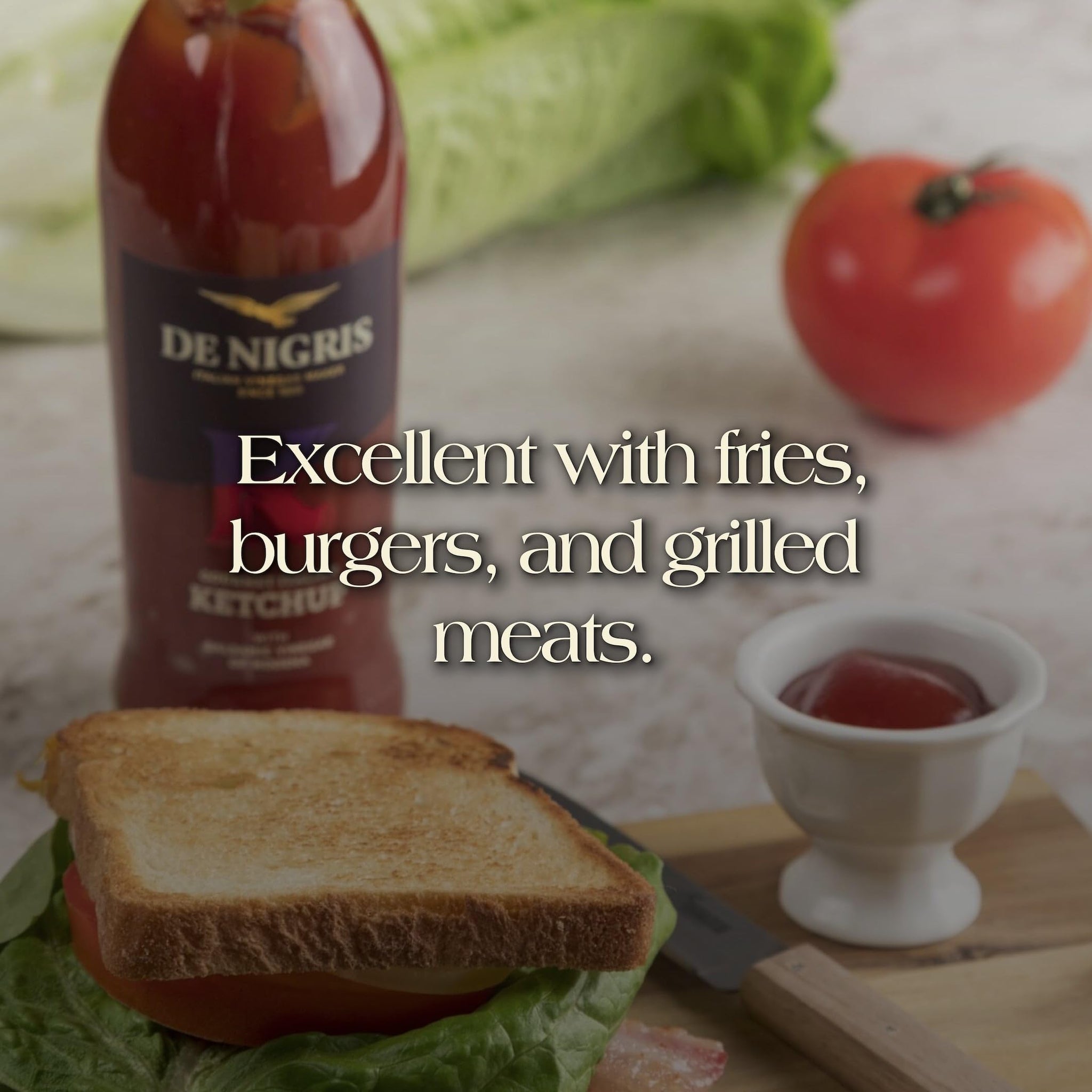 De Nigris Excellence line - Gourmet Italian Ketchup With Balsamic Vinegar Of Modena 10,14 Oz (Pack of 2) | Ketchup With Balsamic Vinegar From Modena