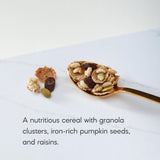 Natures Path, Organic Pumpkin Raisin Crunch Flax Cereal, 12.3 Ounce