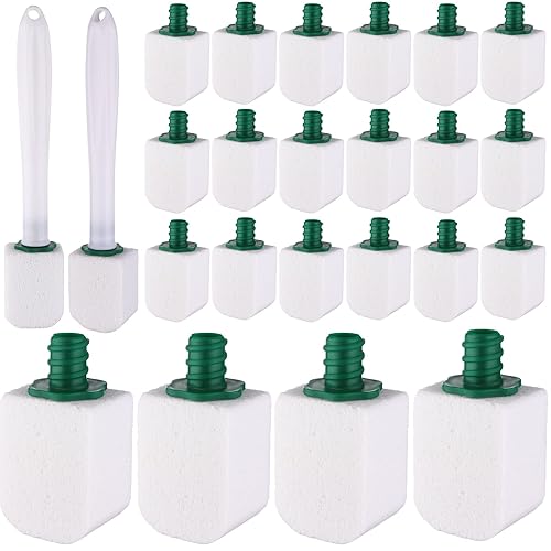 Mkhaslri 26 Pcs Toilet Pumice Stone with Long Handle Toilet Bowl Cleaner Brush Wand Refills Pumice Stone Block Deep Cleaning Remover Tool for Pool