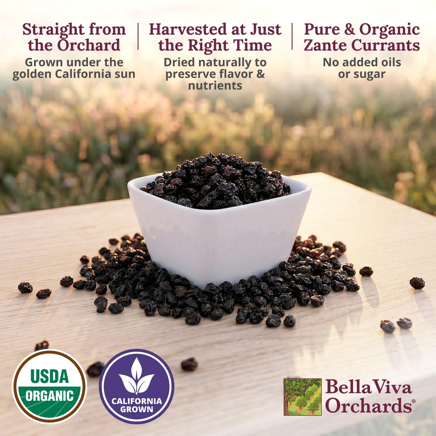 Bella Viva Dried Zante Currants, 2.5 lb - California Sun-Dried Organic Currants for Baking & Snacking - No Sugar Added, No Sulfites, No Oil - USDA